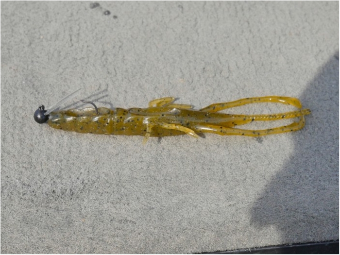 truth  ブログ写真 2019/04/05