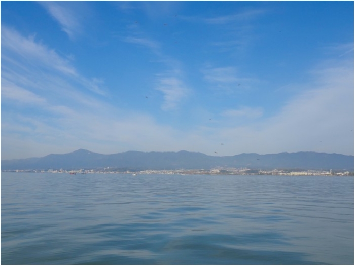 truth  ブログ写真 2019/04/05