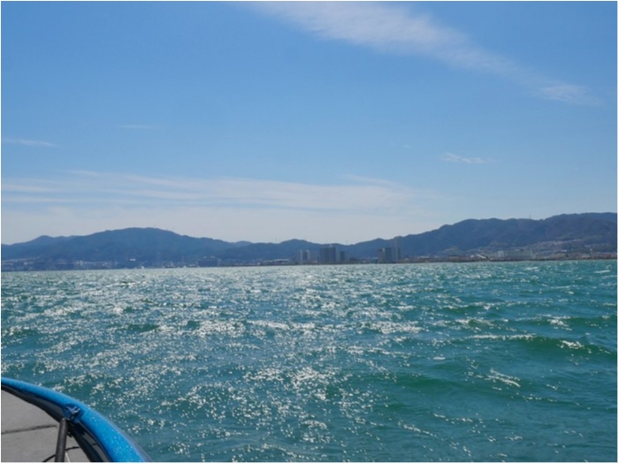 truth  ブログ写真 2019/04/05