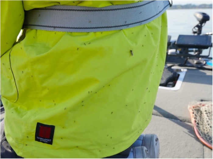 truth  ブログ写真 2019/04/05