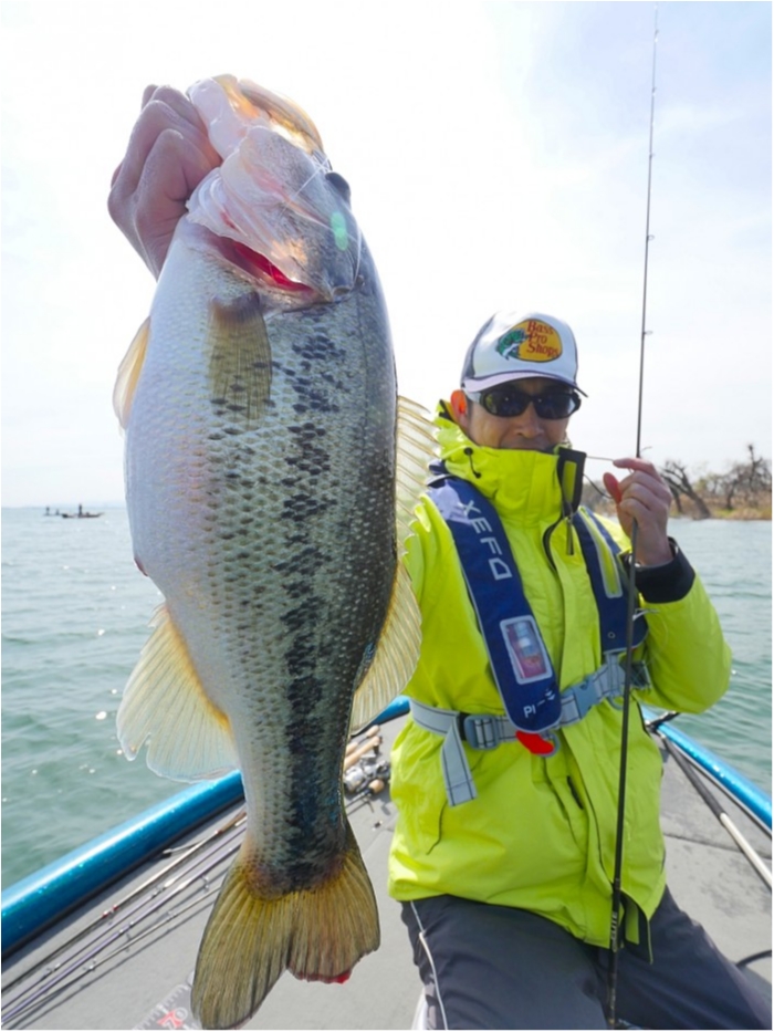 truth  ブログ写真 2019/04/05