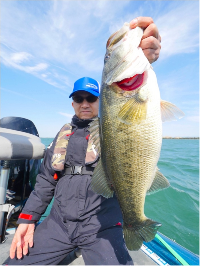 truth  ブログ写真 2019/04/05