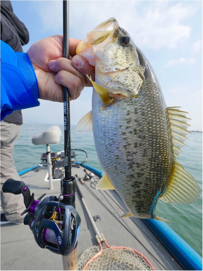 truth  ブログ写真 2019/04/06