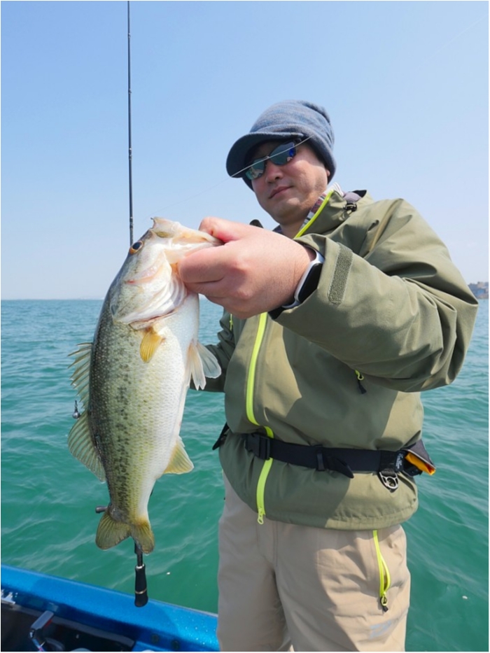 truth  ブログ写真 2019/04/06