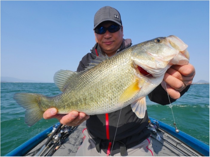 truth  ブログ写真 2019/04/06