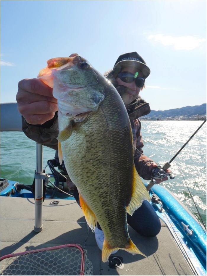 truth  ブログ写真 2019/04/09