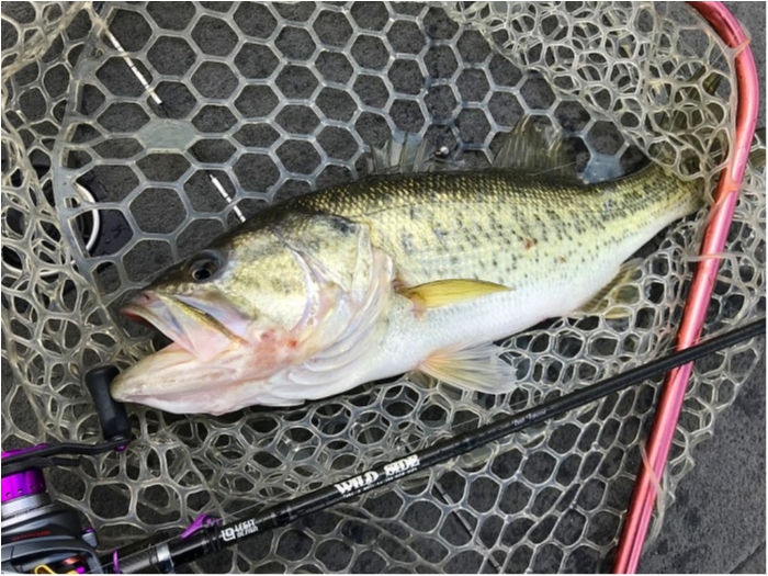 truth  ブログ写真 2019/04/11