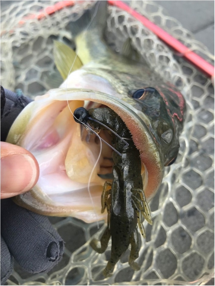 truth  ブログ写真 2019/04/11