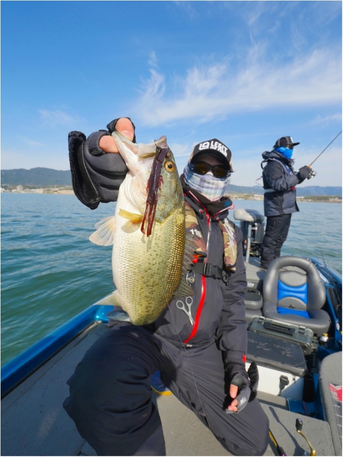 truth  ブログ写真 2019/04/12