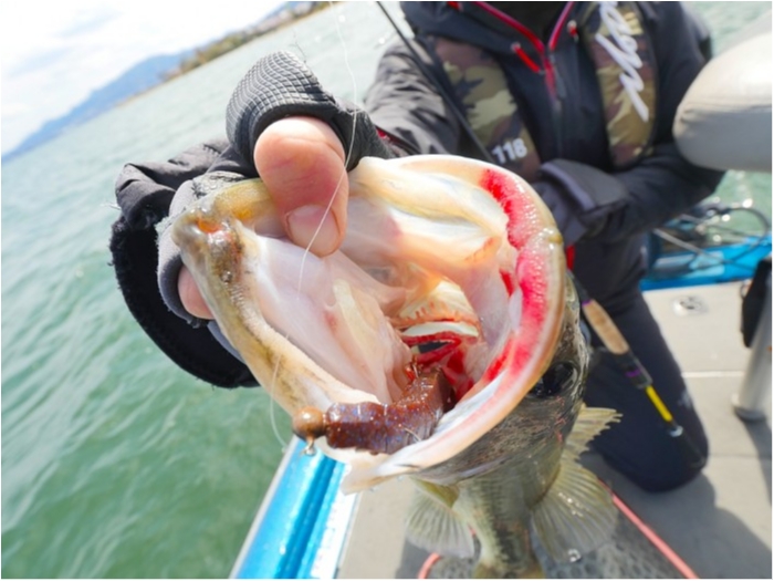 truth  ブログ写真 2019/04/12