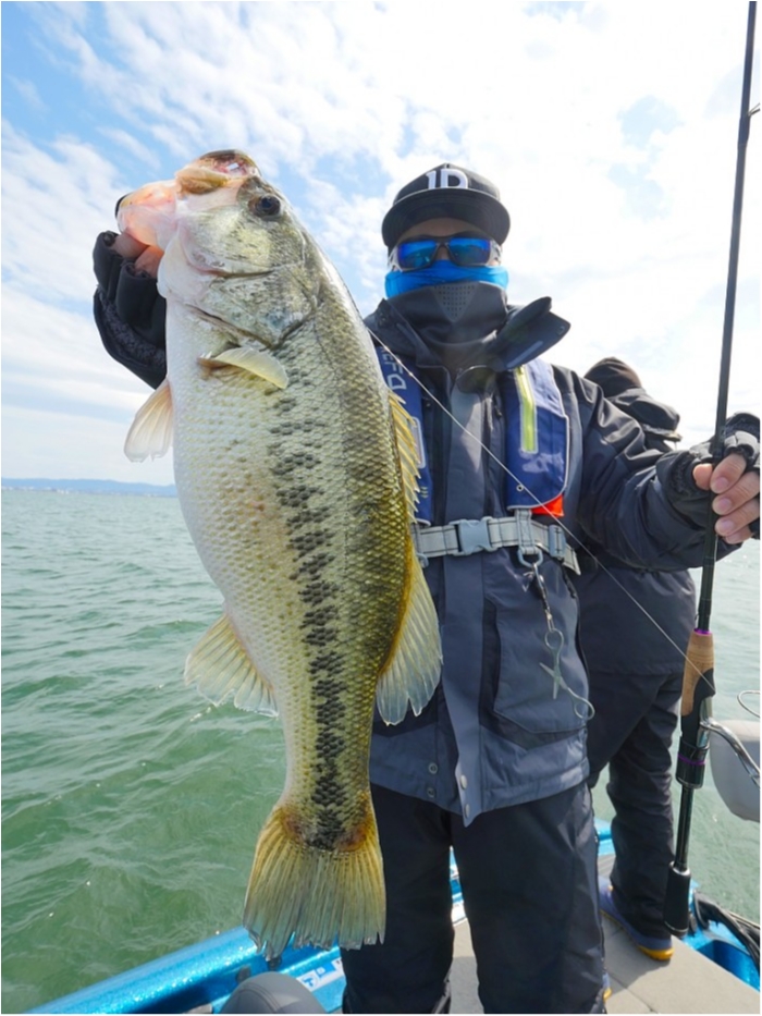 truth  ブログ写真 2019/04/12