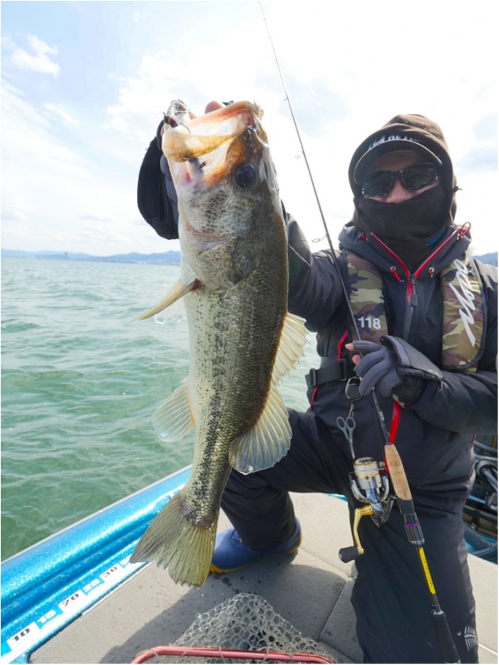 truth  ブログ写真 2019/04/12