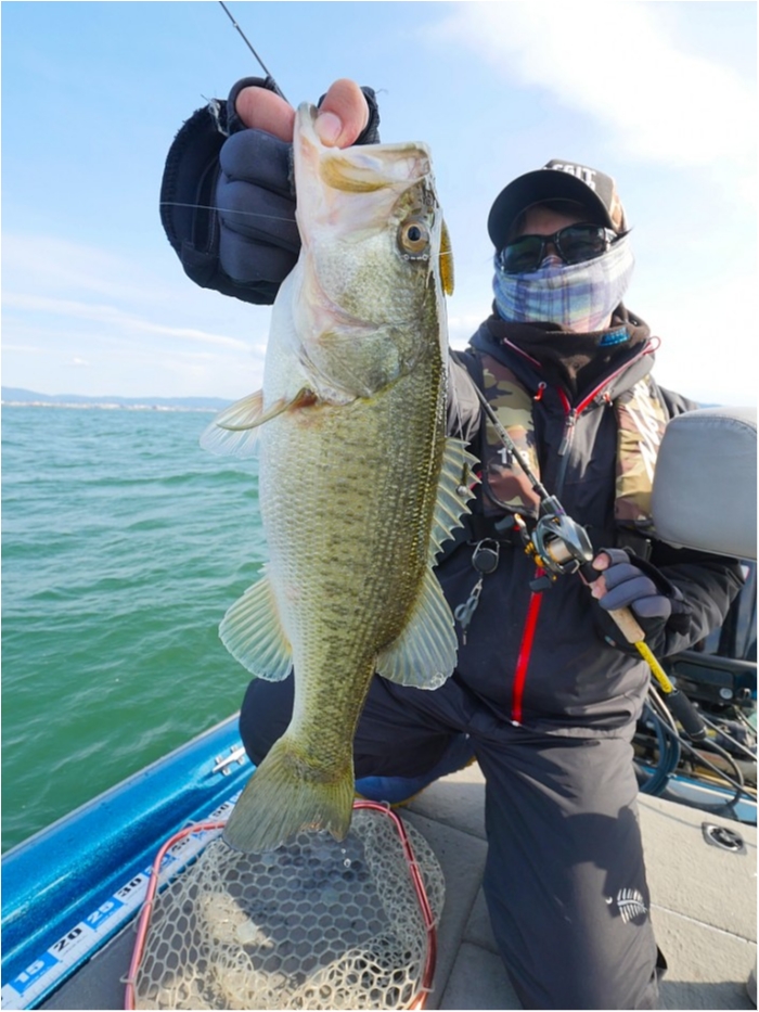 truth  ブログ写真 2019/04/12