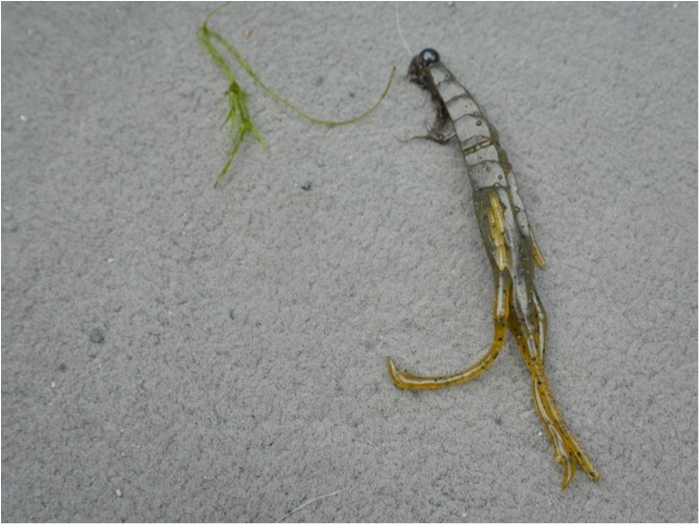 truth  ブログ写真 2019/04/15