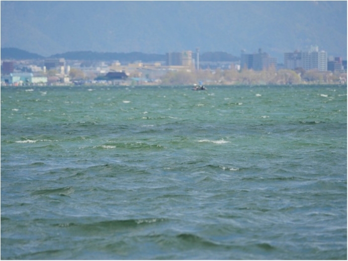 truth  ブログ写真 2019/04/15