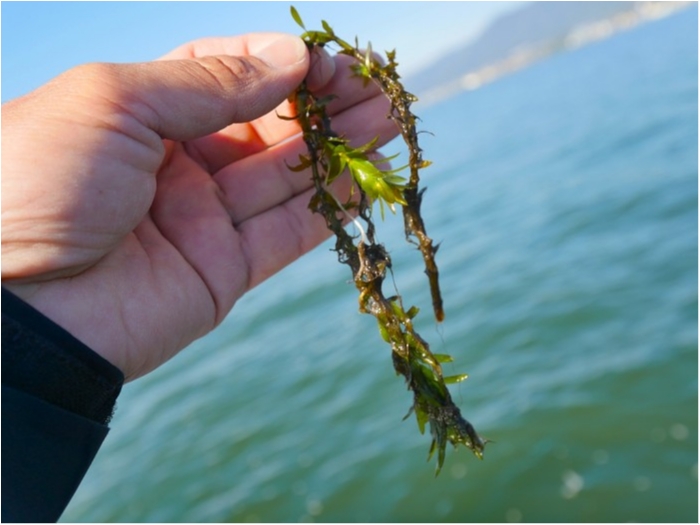 truth  ブログ写真 2019/04/16