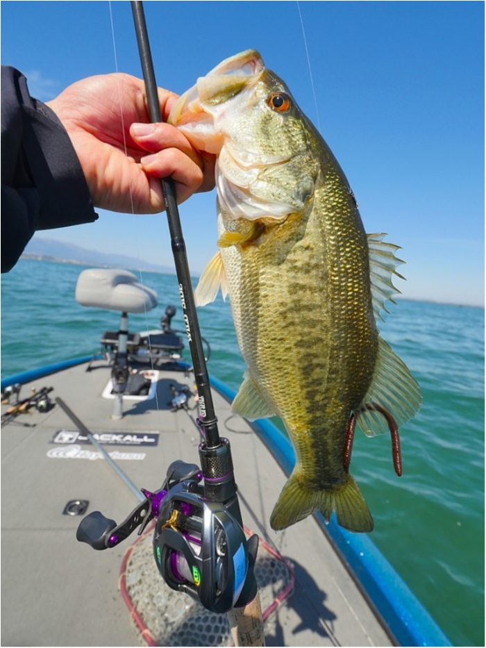 truth  ブログ写真 2019/04/16