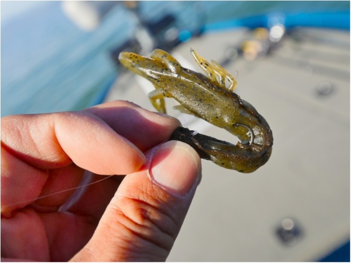 truth  ブログ写真 2019/04/16