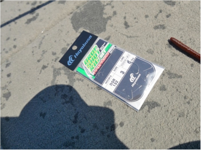 truth  ブログ写真 2019/04/16