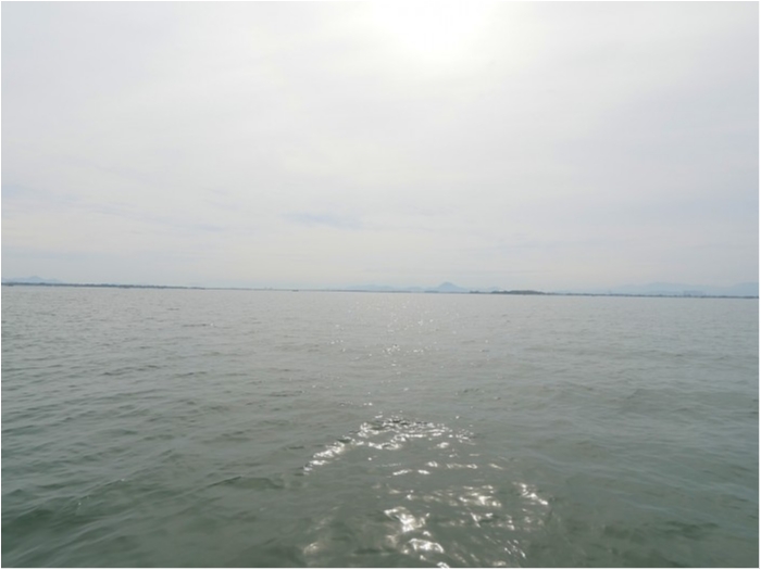 truth  ブログ写真 2019/04/17