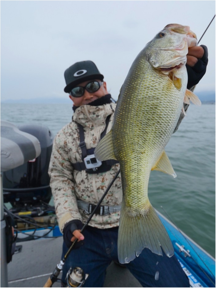 truth  ブログ写真 2019/04/17