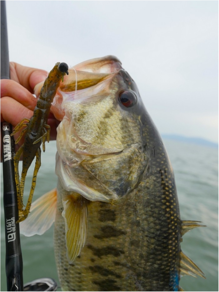 truth  ブログ写真 2019/04/17