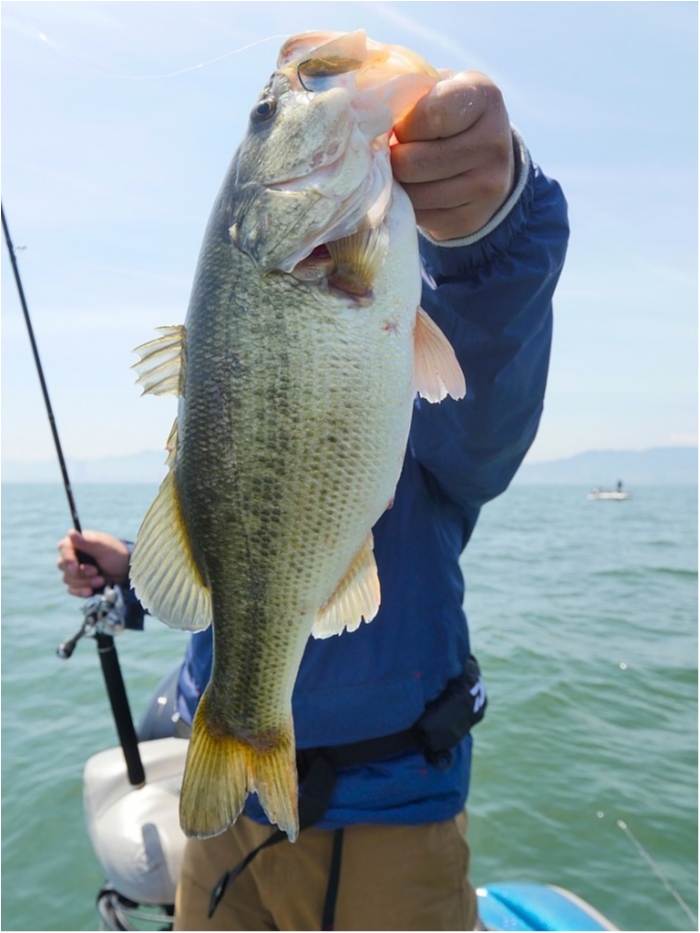 truth  ブログ写真 2019/04/18