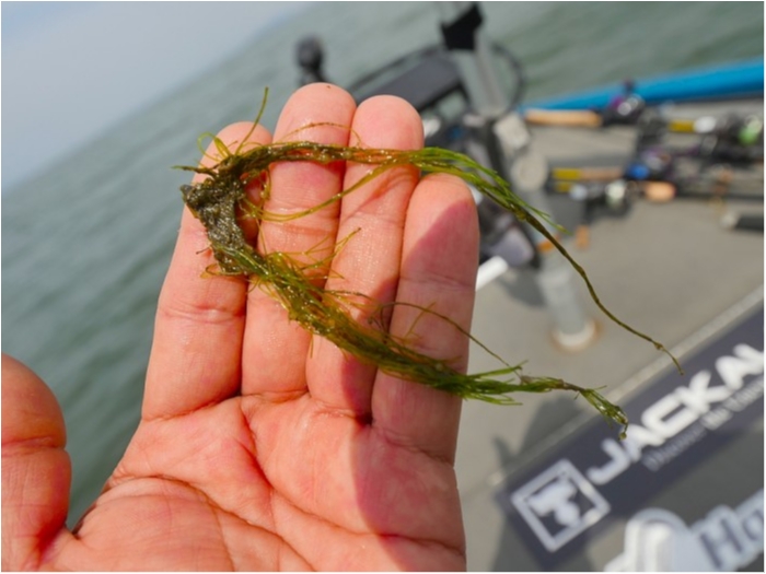 truth  ブログ写真 2019/04/18