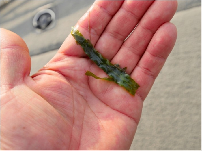 truth  ブログ写真 2019/04/18