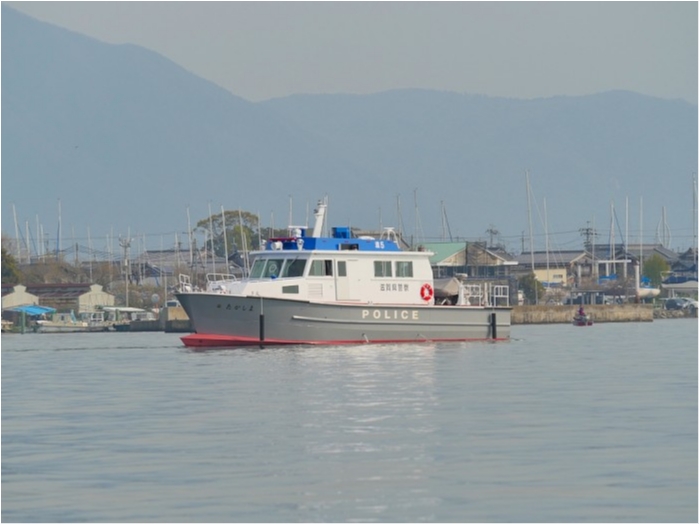 truth  ブログ写真 2019/04/19