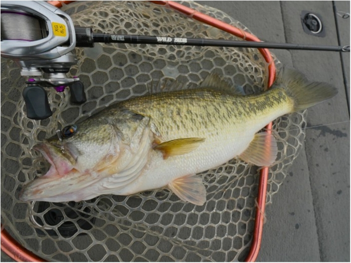 truth  ブログ写真 2019/04/19