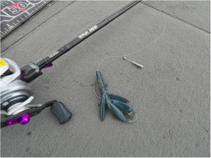 truth  ブログ写真 2019/04/19