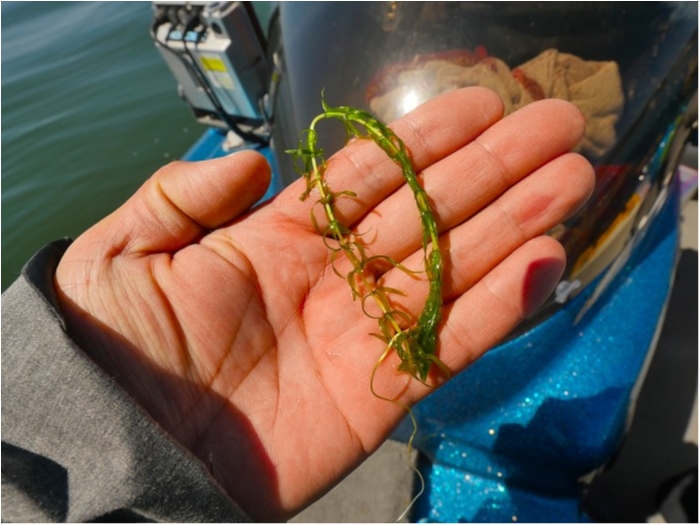 truth  ブログ写真 2019/04/20