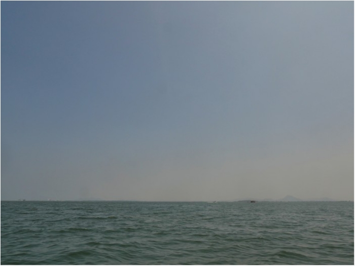 truth  ブログ写真 2019/04/22