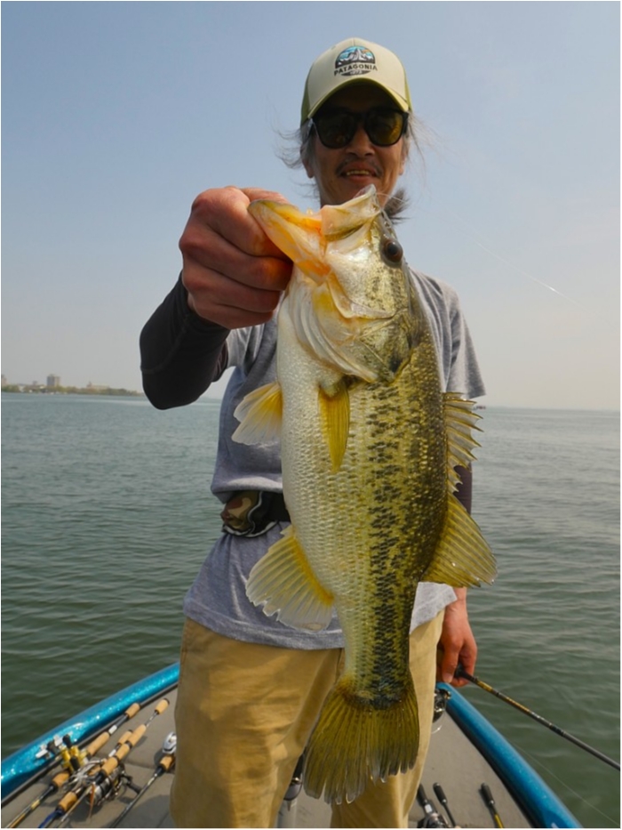 truth  ブログ写真 2019/04/22