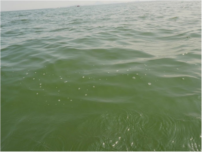 truth  ブログ写真 2019/04/22