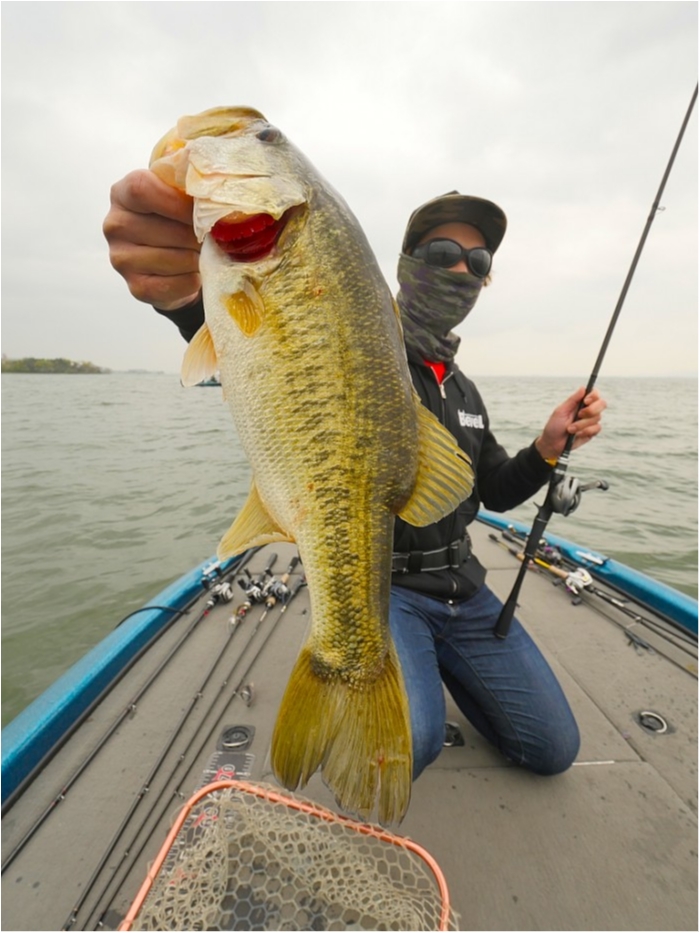 truth  ブログ写真 2019/04/23