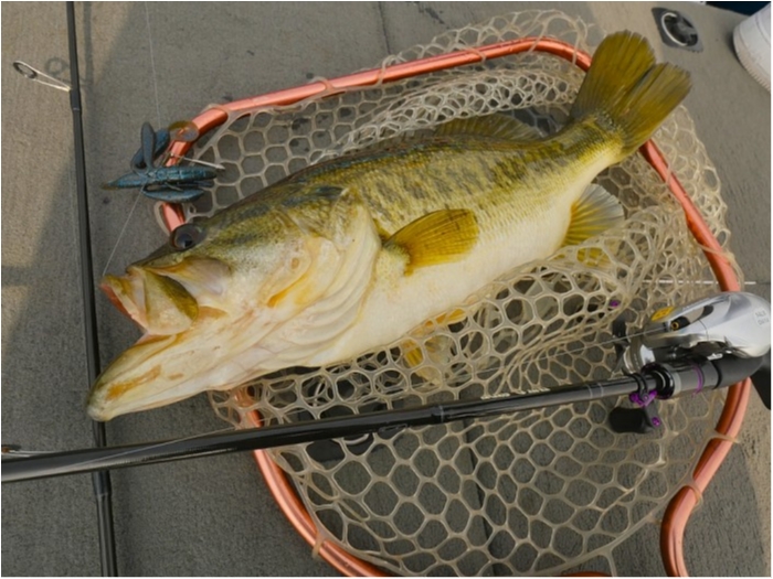 truth  ブログ写真 2019/04/23