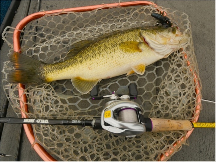 truth  ブログ写真 2019/04/23