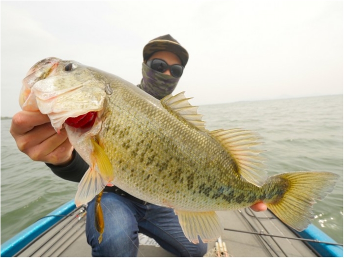 truth  ブログ写真 2019/04/23