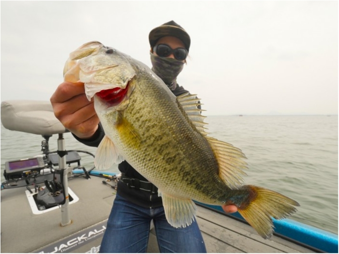 truth  ブログ写真 2019/04/23