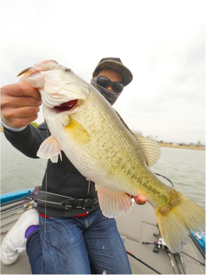 truth  ブログ写真 2019/04/23