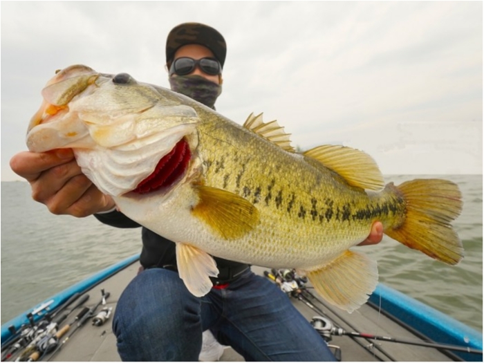 truth  ブログ写真 2019/04/23