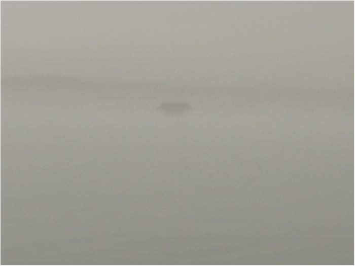 truth ブログ写真 2019/04/25