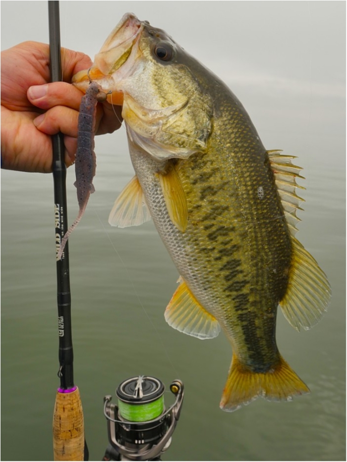 truth ブログ写真 2019/04/25