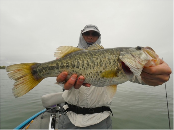 truth ブログ写真 2019/04/25