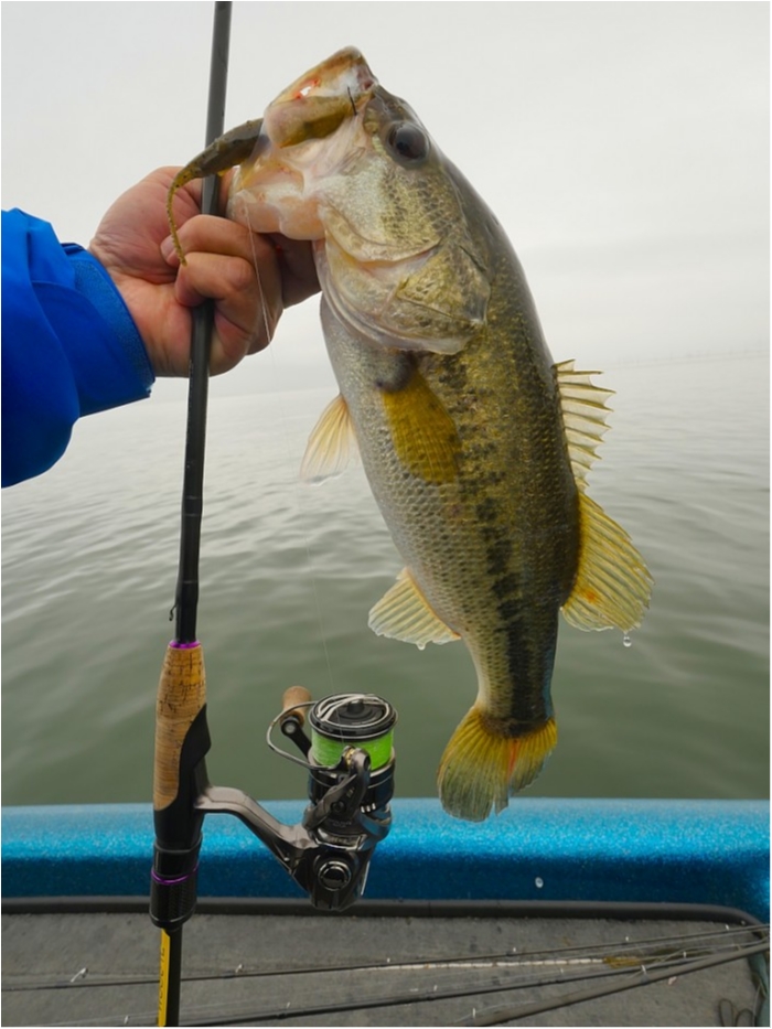 truth ブログ写真 2019/04/25