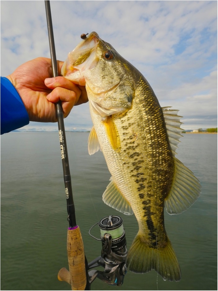 truth ブログ写真 2019/04/25