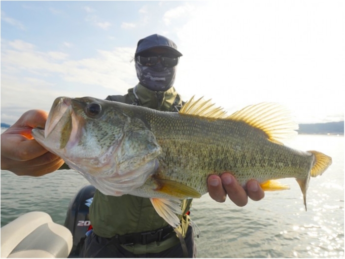 truth ブログ写真 2019/04/25