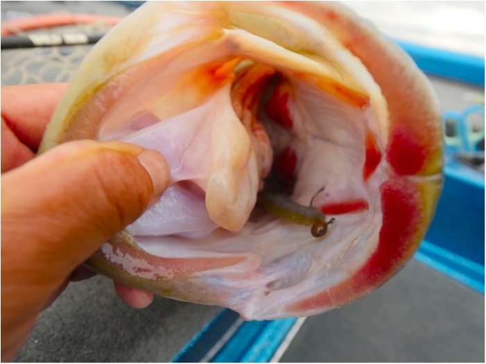 truth ブログ写真 2019/04/26